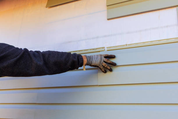 Best Custom Trim and Detailing for Siding  in Pollock Pines, CA